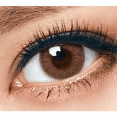 Olens Classi Mistique Brown — single-eye close-up showing the contact lens appearance