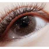 Olens Classi Mistique Gray — single-eye close-up showing the contact lens appearance