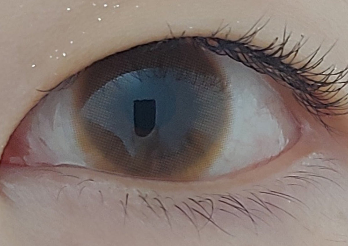 Olens Classi Water Brown colored contact lens, 13.4mm graphic diameter, 3-6 Months wear