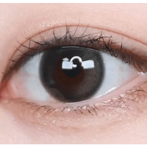 LensTown Coconut 3color Tender Brown — single-eye close-up showing the contact lens appearance