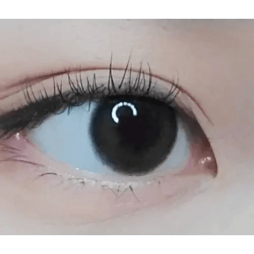 LensRang Comely Gray — both eyes wearing the contact lenses