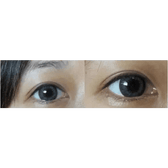 Olens Dali Extra Gray — contact lenses displayed in storage cases