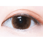 LensTown Davivi2 Brown — single-eye close-up showing the contact lens appearance
