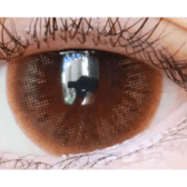 LensTown Davivi2 Brown — single-eye close-up showing the contact lens appearance