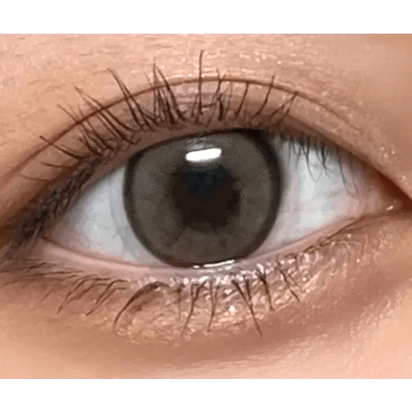 LensVery Day Ring Brown colored contact lens, 12.5mm graphic diameter, Monthly wear