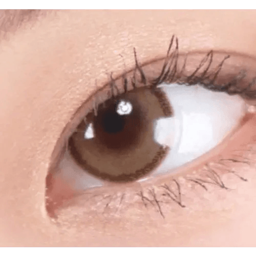 LensRang DayLook 1Day Brown (5p) — single-eye close-up showing the contact lens appearance