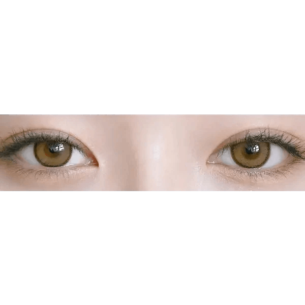 LensRang DayLook 1Day Brown (5p) — contact lens packaging