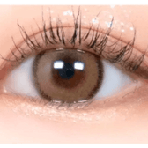 LensRang DayLook 1Day Brown (5p) — single-eye close-up showing the contact lens appearance