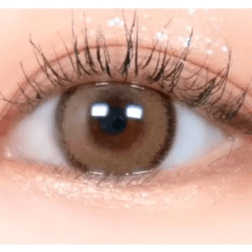 LensRang DayLook 1Day Brown (5p) — single-eye close-up showing the contact lens appearance