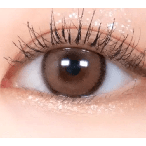LensRang DayLook 1Day Choco (5p) — single-eye close-up showing the contact lens appearance