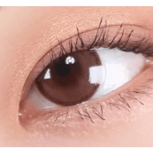 LensRang DayLook 1Day Choco (5p) — single-eye close-up showing the contact lens appearance