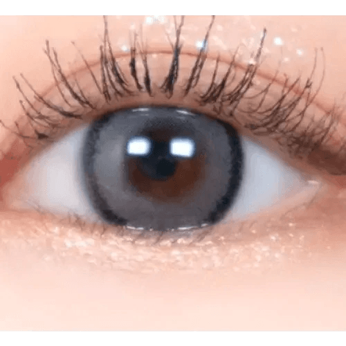LensRang DayLook 1Day Gray (5p) — single-eye close-up showing the contact lens appearance