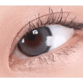 LensRang DayLook 1Day Gray (5p) — single-eye close-up showing the contact lens appearance