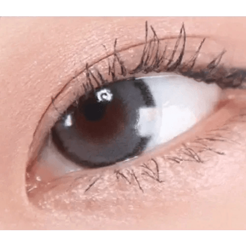 LensRang DayLook 1Day Gray (5p) — single-eye close-up showing the contact lens appearance