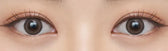 Olens Dewring Ash Choco colored contact lens, 13.0mm graphic diameter, 3-6 Months wear