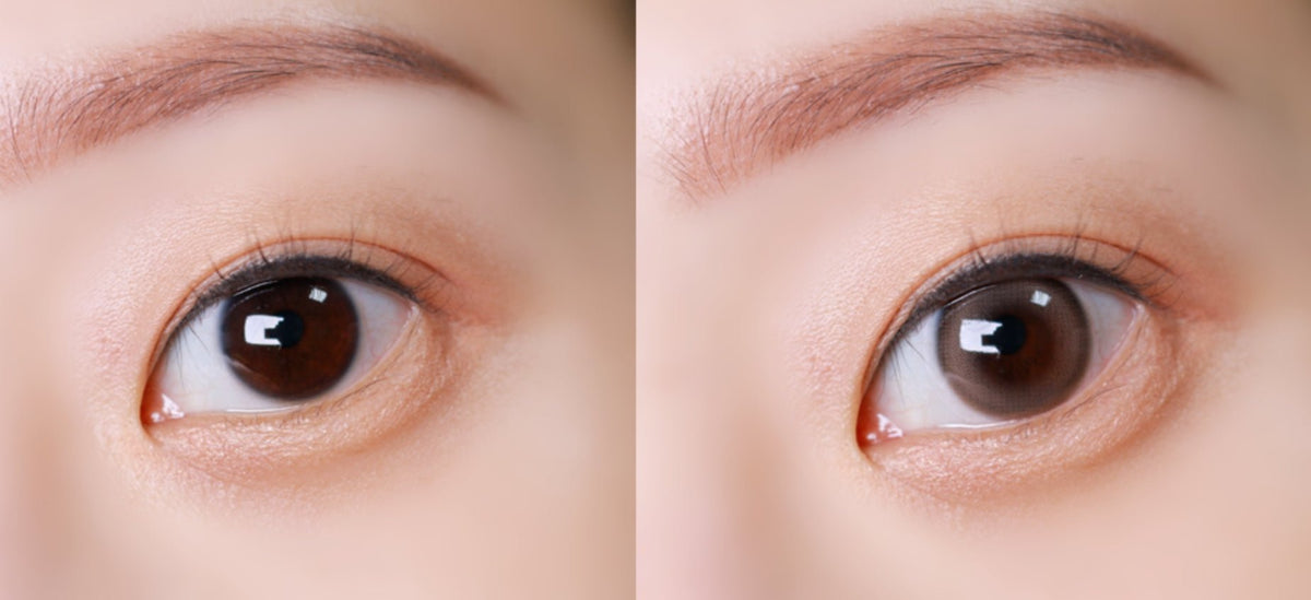 Olens Dewring Ash Choco colored contact lens, 13.0mm graphic diameter, 3-6 Months wear