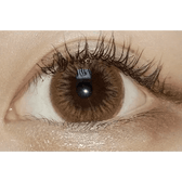 LensTown DODO Brown — single-eye close-up showing the contact lens appearance