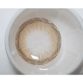 LensTown DODO Brown — contact lens displayed in a blister pack