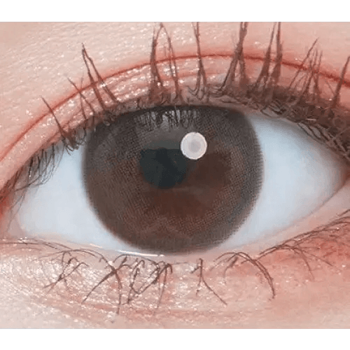 LensTown Elly Basic Brown colored contact lens, 13.3mm graphic diameter, Monthly wear
