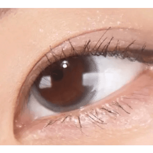 LensTown Elly Basic Gray — single-eye close-up showing the contact lens appearance