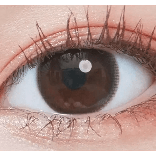 LensTown Elly Basic Gray colored contact lens, 13.3mm graphic diameter, Monthly wear