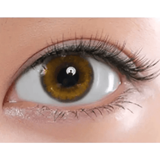 LensRang Epi Brown — single-eye close-up showing the contact lens appearance