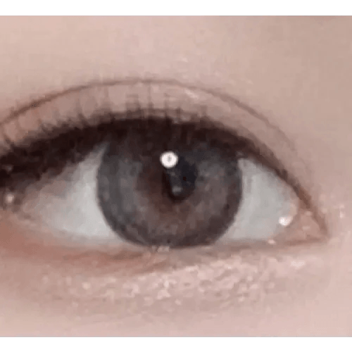 LensRang Epi Gray — single-eye close-up showing the contact lens appearance
