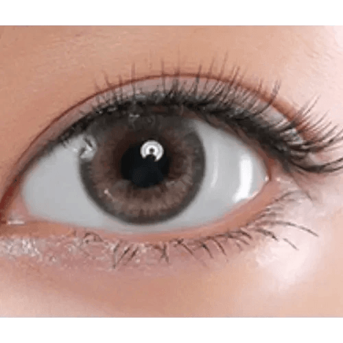 LensRang Epi Gray — single-eye close-up showing the contact lens appearance