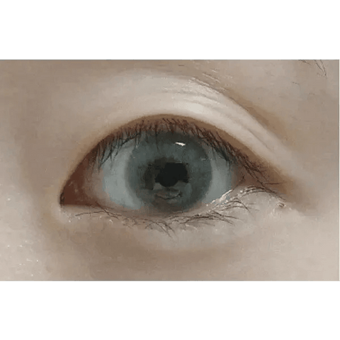 European Eyes Silicone Gray 12.8mm