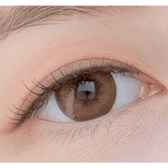 Olens Ever Shine 1Day Brown (20p) colored contact lens, 13.5mm graphic diameter, Daily wear