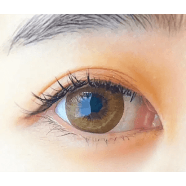 Olens Ever Shine 1Day Brown (20p) colored contact lens, 13.5mm graphic diameter, Daily wear