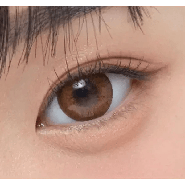 Olens Ever Shine 1Day Brown (20p) colored contact lens, 13.5mm graphic diameter, Daily wear