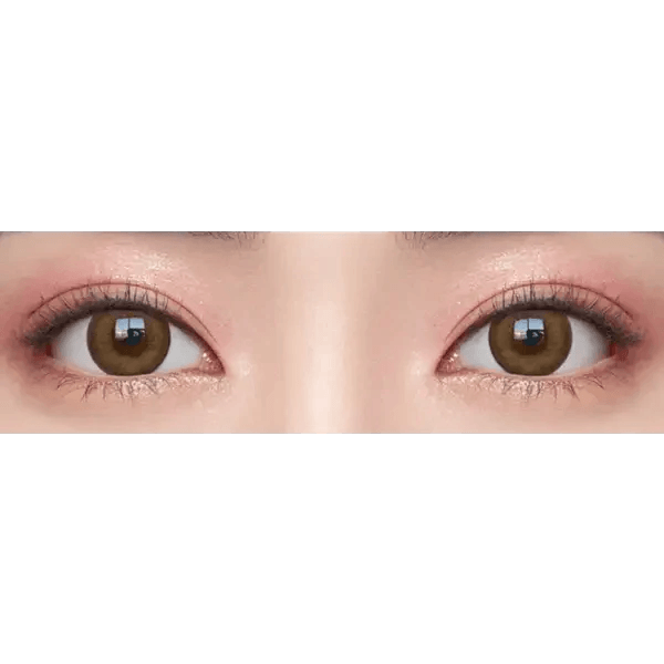 Olens Ever Shine 1Day Brown (20p) colored contact lens, 13.5mm graphic diameter, Daily wear