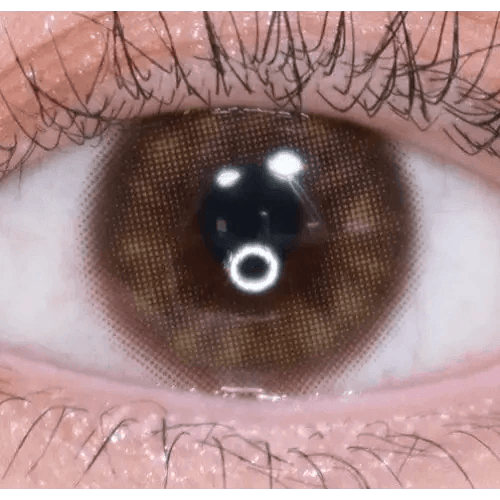 EyeTeen Brown 12.8mm