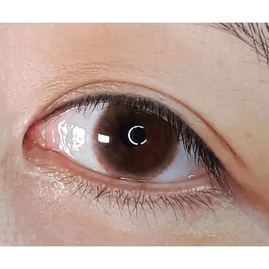 Olens Falling Brown — single-eye close-up showing the contact lens appearance