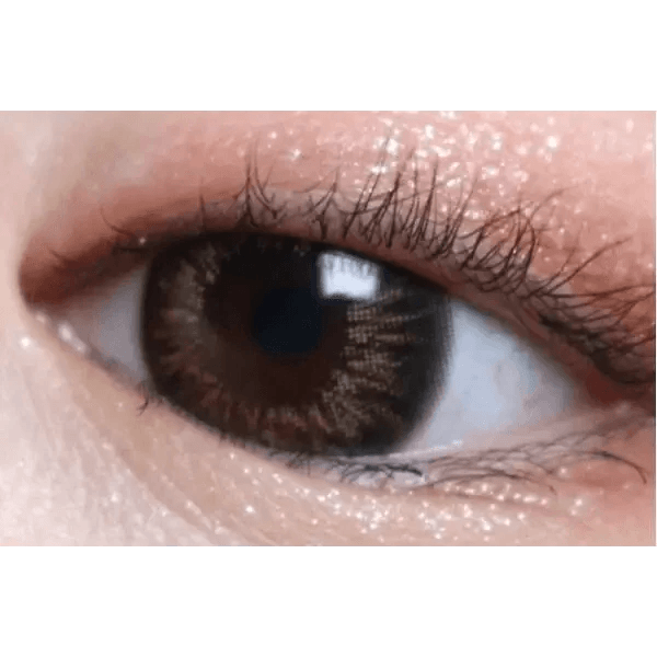 LensTown Fancia Gold Brown — single-eye close-up showing the contact lens appearance