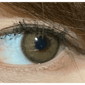 LensVery Funny Ann Ice Brown — single-eye close-up showing the contact lens appearance