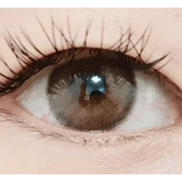 LensVery Funny Ann Ice Brown — single-eye close-up showing the contact lens appearance