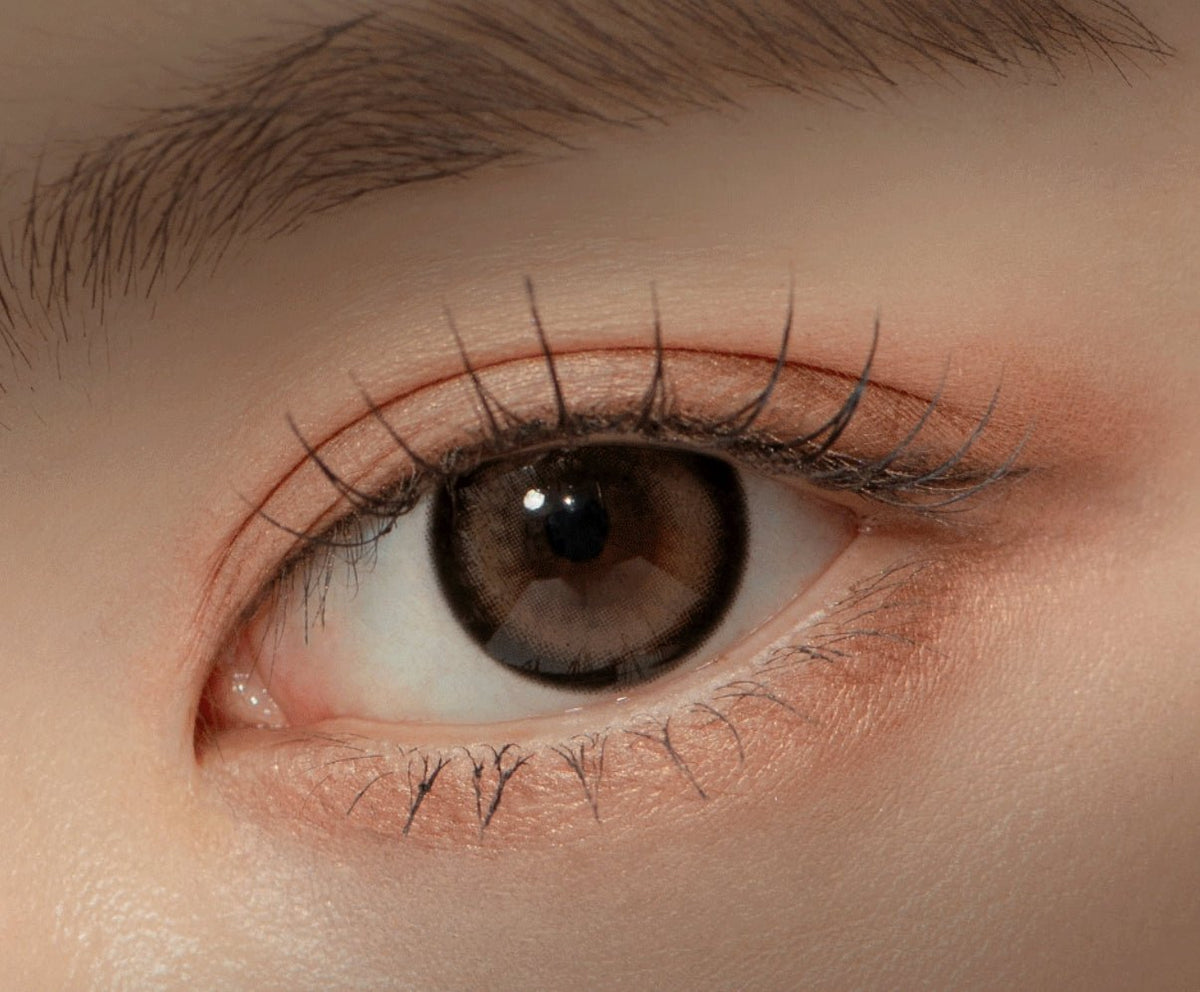 LensTown Glammic Cocoa Choco colored contact lens, 13.3mm graphic diameter, Monthly wear