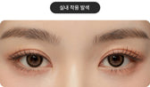 LensTown Glammic Cocoa Choco colored contact lens, 13.3mm graphic diameter, Monthly wear