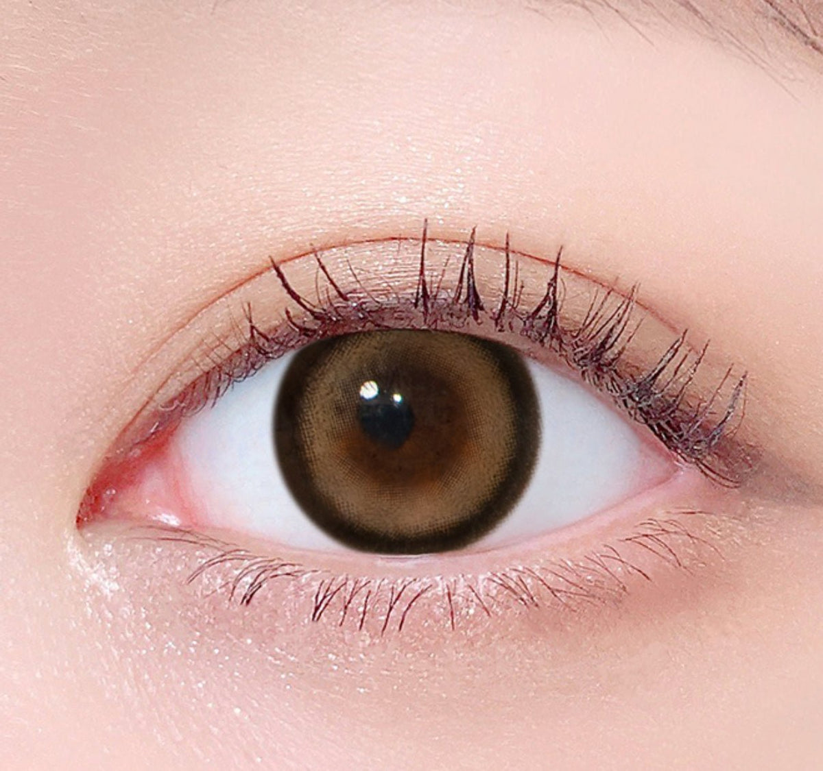 LensTown Glammic Soft Brown colored contact lens, 13.3mm graphic diameter, Monthly wear