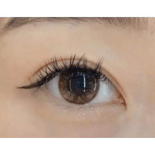 Olens Grang Grang Brown — single-eye close-up showing the contact lens appearance