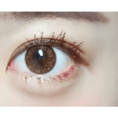 Olens Grang Grang Brown — single-eye close-up showing the contact lens appearance