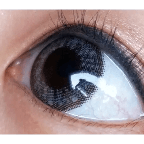 Olens Grang Grang Gray — single-eye close-up showing the contact lens appearance