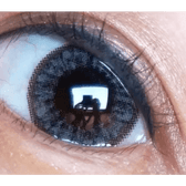 Olens Grang Grang Gray — single-eye close-up showing the contact lens appearance
