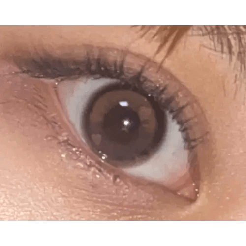 LensTown Hotto Hazel Choco — single-eye close-up showing the contact lens appearance
