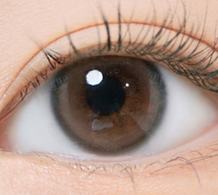 i-DOL Eyeis Ash Brown colored contact lens, 13.0mm graphic diameter, Monthly wear