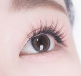 i-DOL Eyeis Ash Brown colored contact lens, 13.0mm graphic diameter, Monthly wear