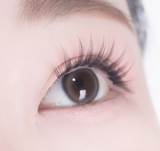 i-DOL Eyeis Ash Brown colored contact lens, 13.0mm graphic diameter, Monthly wear