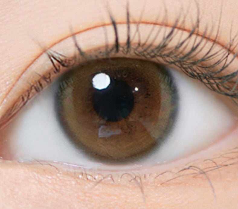 i-DOL Eyeis Melo Brown colored contact lens, 13.0mm graphic diameter, Monthly wear